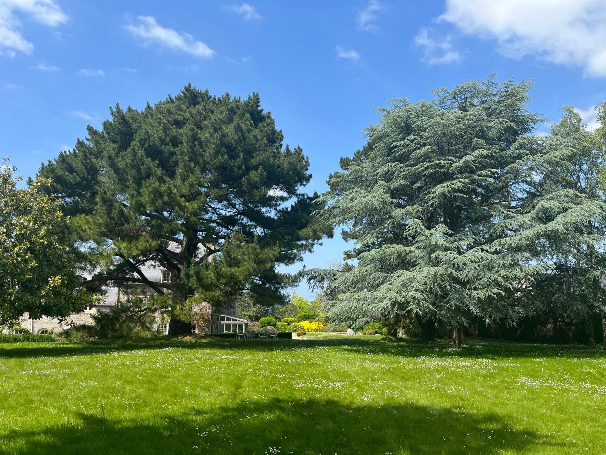 Manoir Des Bords De Rance Bed & Breakfast Plouer-sur-Rance Exterior photo