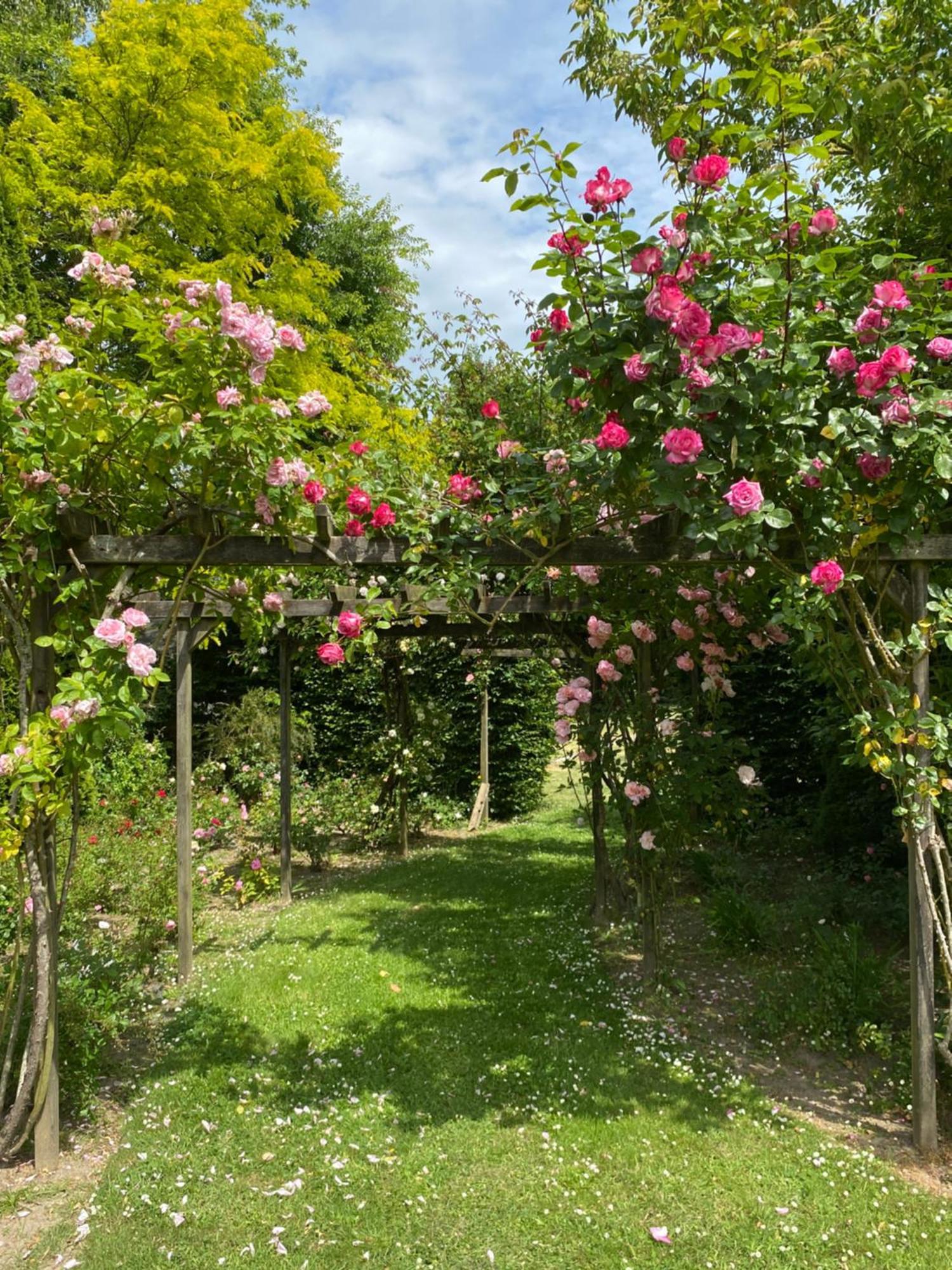 Manoir Des Bords De Rance Bed & Breakfast Plouer-sur-Rance Exterior photo